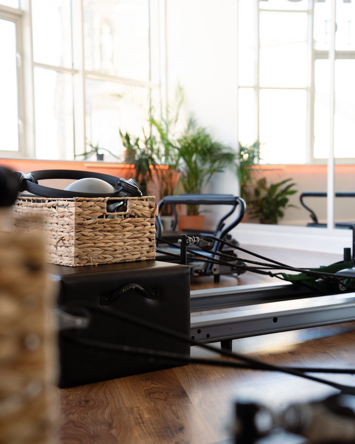 Athletic Reformer at Reformed.